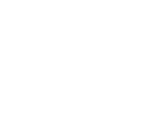 Profesor Productivo